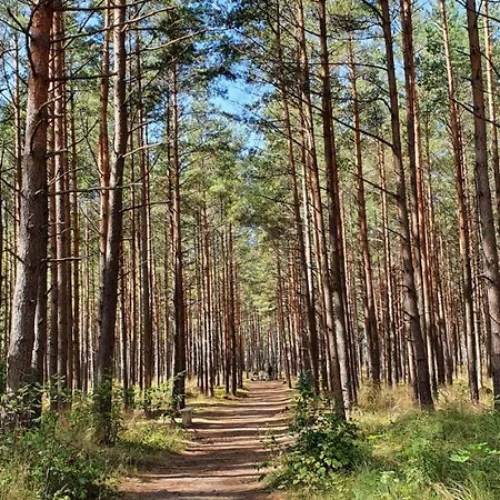 Апартаменты Mano Jura Jums/mine Sea For Паланга