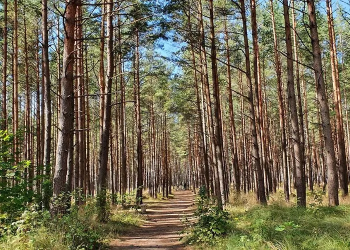 Apartament Mano Jura Jums/mine Sea For Połąga